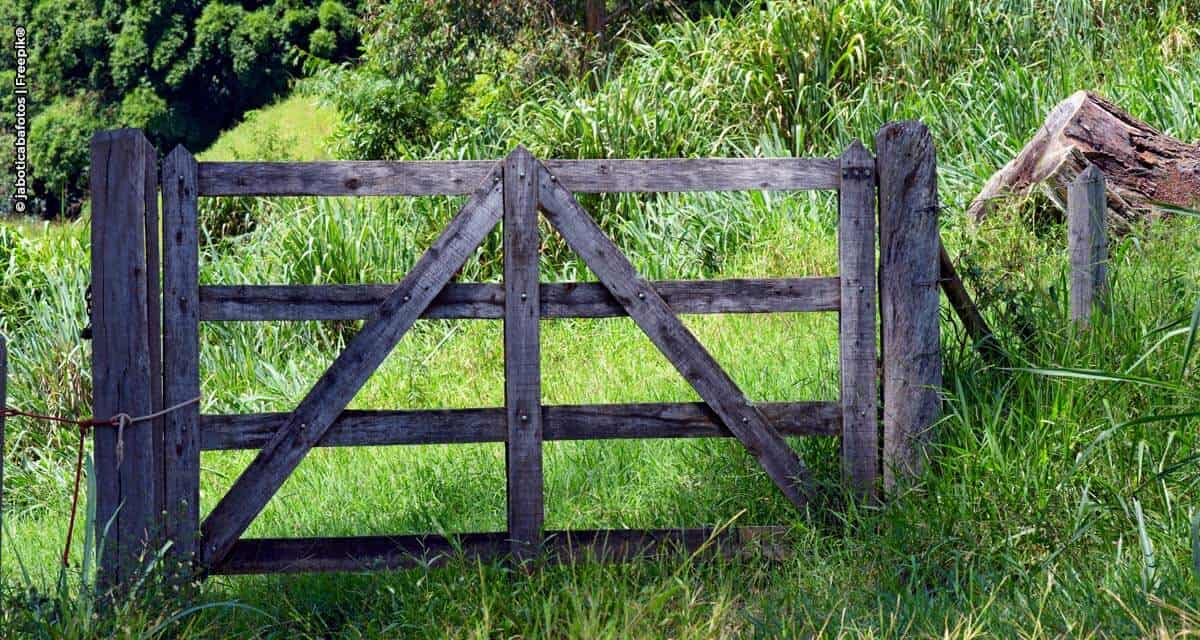 A ferramenta AnalisaCAR e o incentivo à agricultura sustentável no Brasil