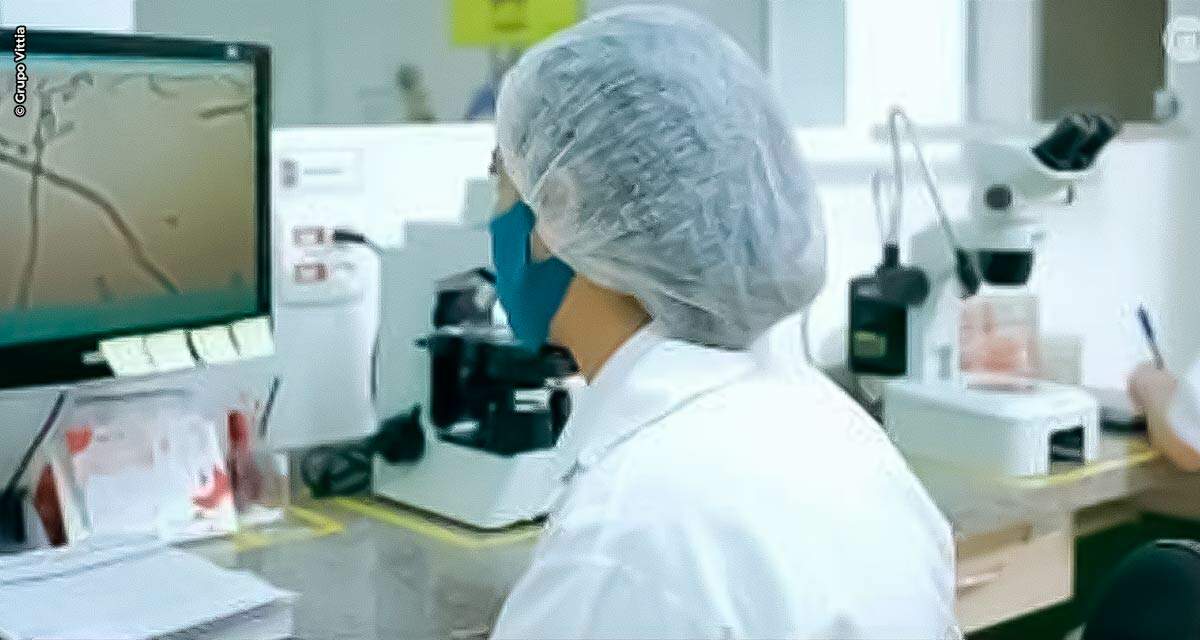 Grupo Vittia anuncia resultados do primeiro trimestre de 2021 com crescimento 69% em receita líquida