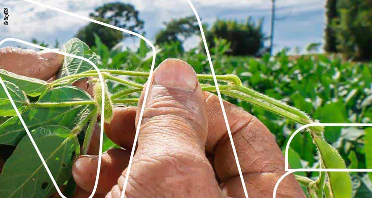 Programa de logística reversa no campo contribui para a sustentabilidade do setor agrícola