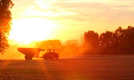 “A produção agropecuária não é uma vilã, há maneiras de adotar uma produção 100% sustentável e boa para o meio ambiente”