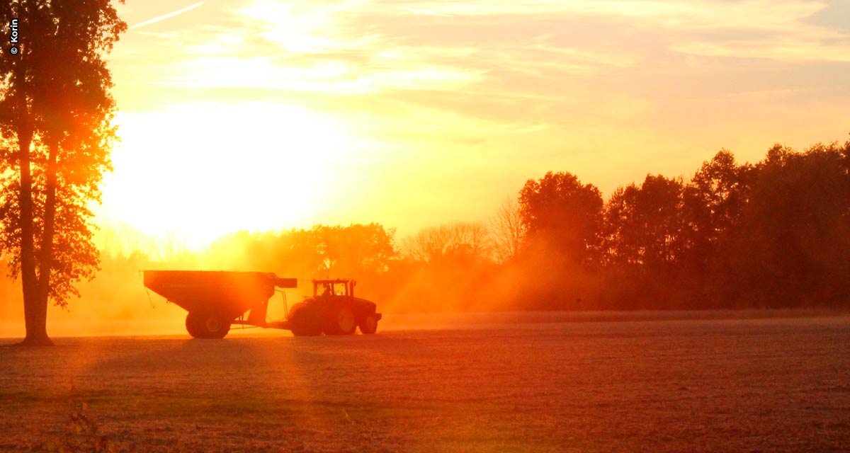 “A produção agropecuária não é uma vilã, há maneiras de adotar uma produção 100% sustentável e boa para o meio ambiente”