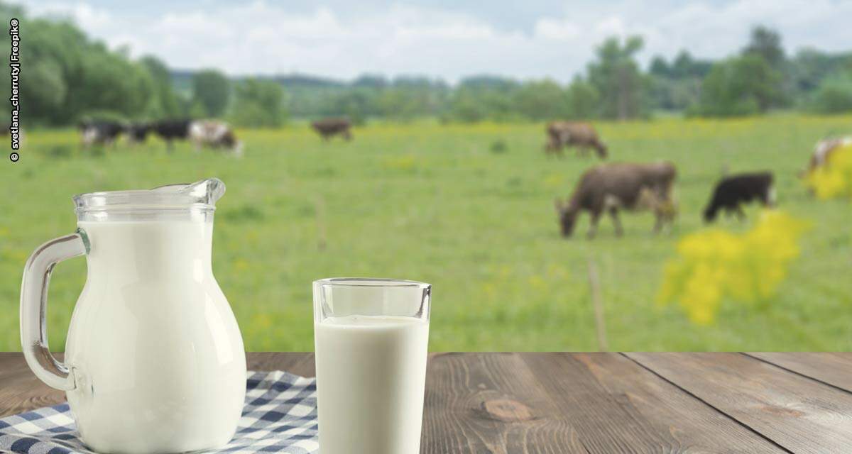 Fazendas de leite mais eficientes aumentaram produtividade 2,3 vezes mais rápido que a média nos últimos três anos