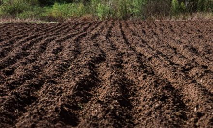 Nitro avança no agro com nova linha de fertilizantes