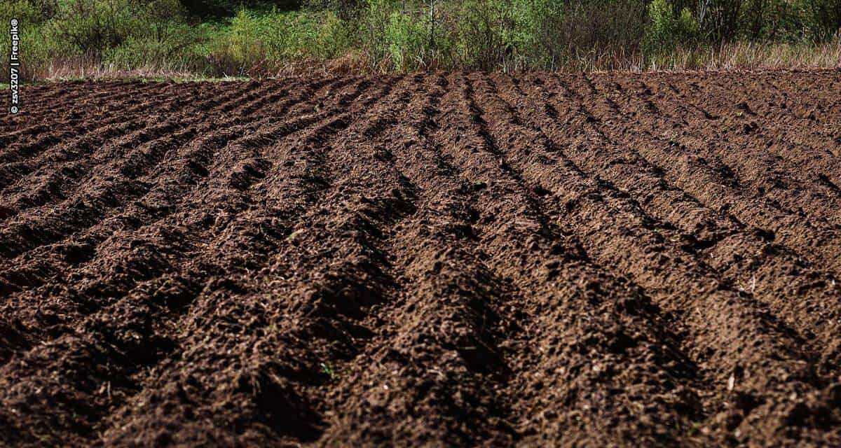 Nitro avança no agro com nova linha de fertilizantes