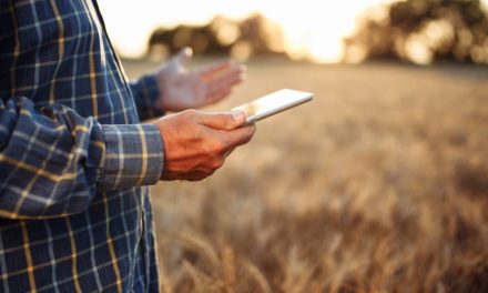 Cooperação e conhecimento: uma forma de aproximar o produtor rural das inovações digitais