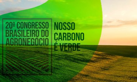 Estruturação e integração são fundamentais para o desenvolvimento do mercado de carbono verde no país