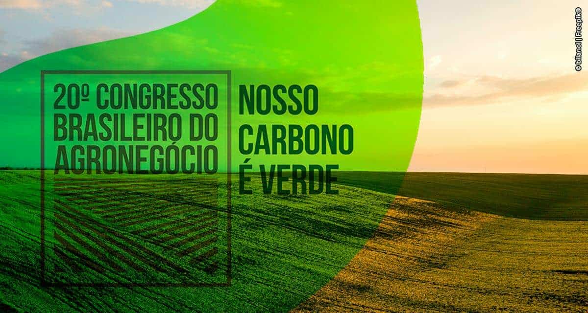 Estruturação e integração são fundamentais para o desenvolvimento do mercado de carbono verde no país