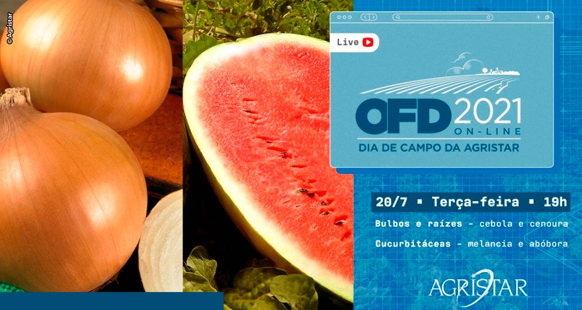 Horticultura: Dia de Campo da Agristar começa hoje com novidades para o setor e participações especiais