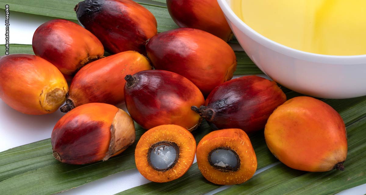 BASF expande portfólio de tensoativos certificados à base de óleo de palma sustentável