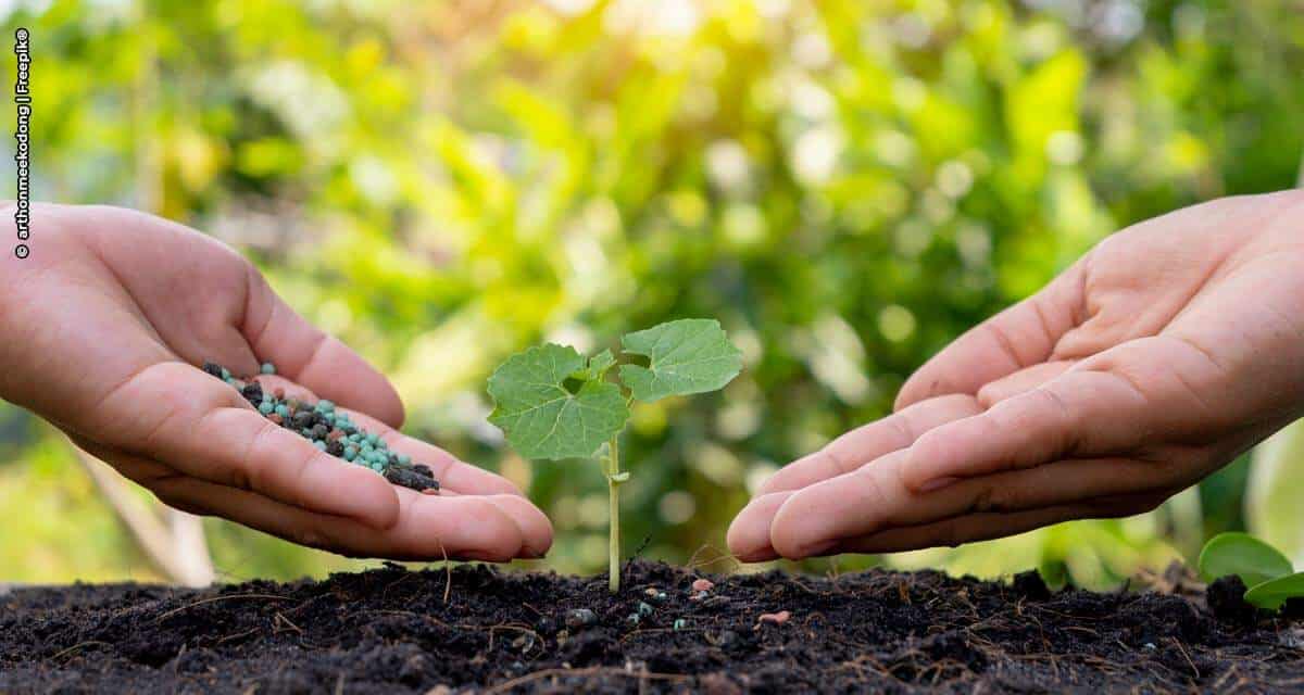  BRANDT espera quadruplicar a produção de insumos no Brasil e investe em tecnologia de aplicação e fisiologia vegetal