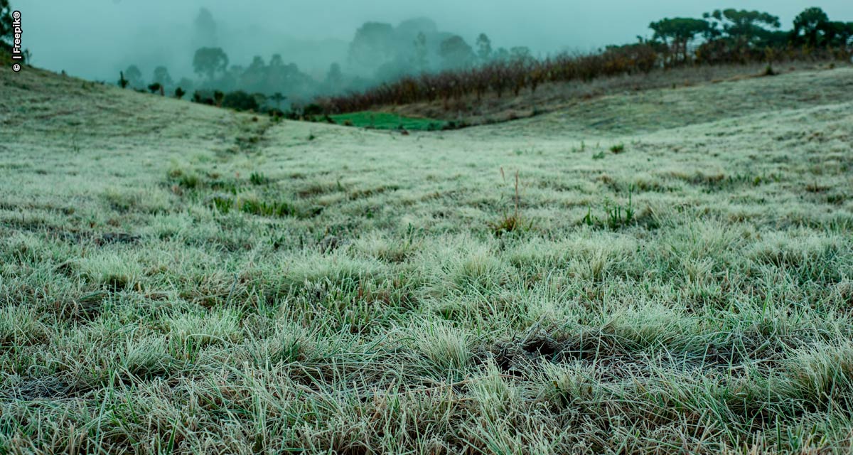 Mudança climática e Sustentabilidade no Agronegócio