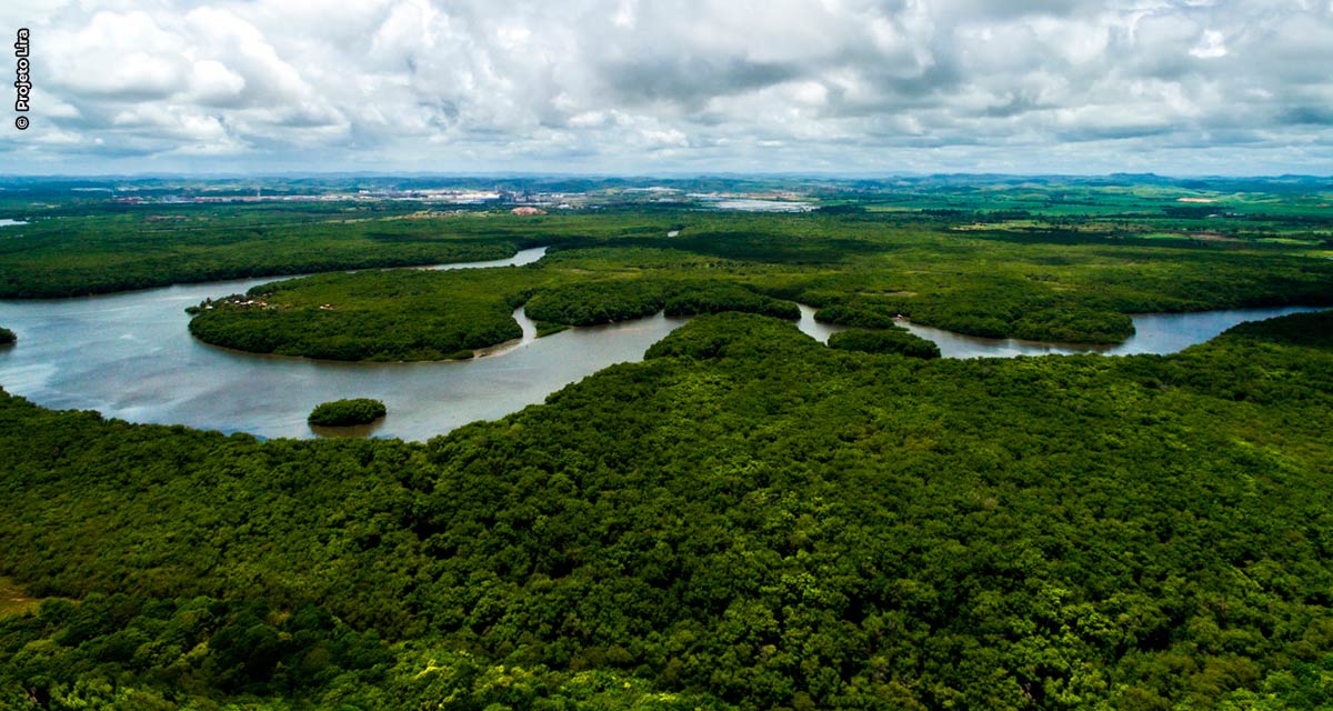 Saiba de onde vem o produto que você consome e a importância disso para a conservação da floresta e para a nossa sobrevivência