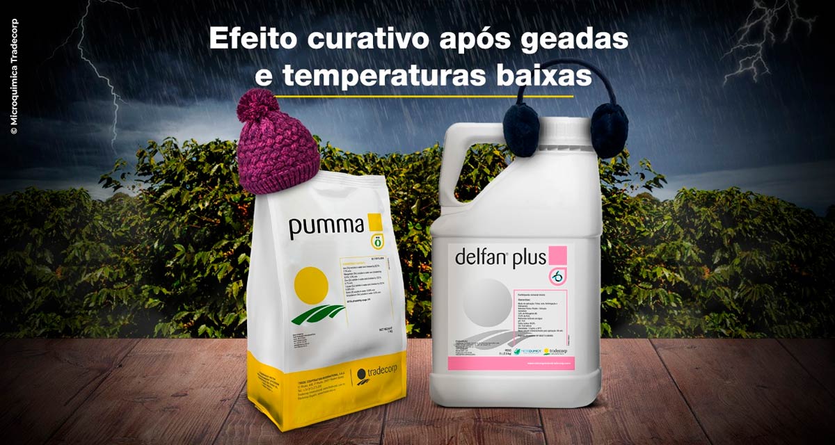 Inverno rigoroso e geadas: como realizar o manejo fisiológico das plantas e evitar perdas de produtividade?