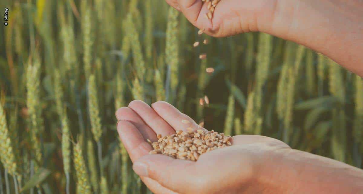 Grupo Solvay conclui aquisição do negócio global de revestimento de sementes da Bayer