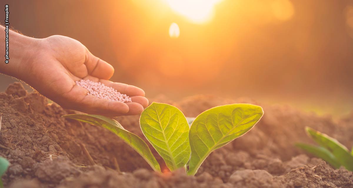 Com investimentos em P&D e em ERP, TMF Fertilizantes se apoia em inovações e dados para crescer