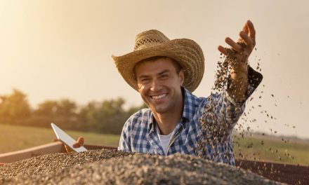 Dia do agricultor: parabéns aos responsáveis pela economia e pela alimentação do brasileiro