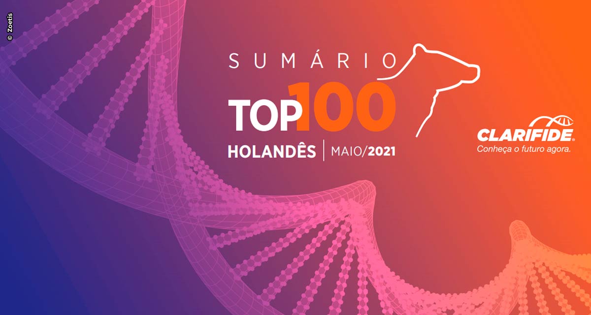 Sumário Top100 Clarifide – para um futuro mais assertivo, produtivo e rentável