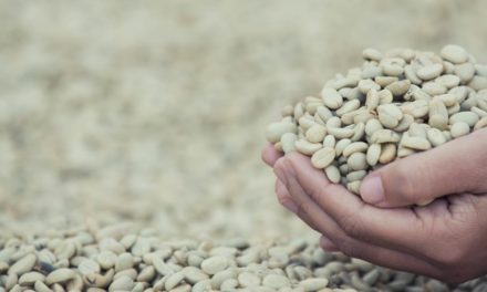 Exportação brasileira de café recua 12,8%, para 2,8 mi de sacas, em julho de 2021