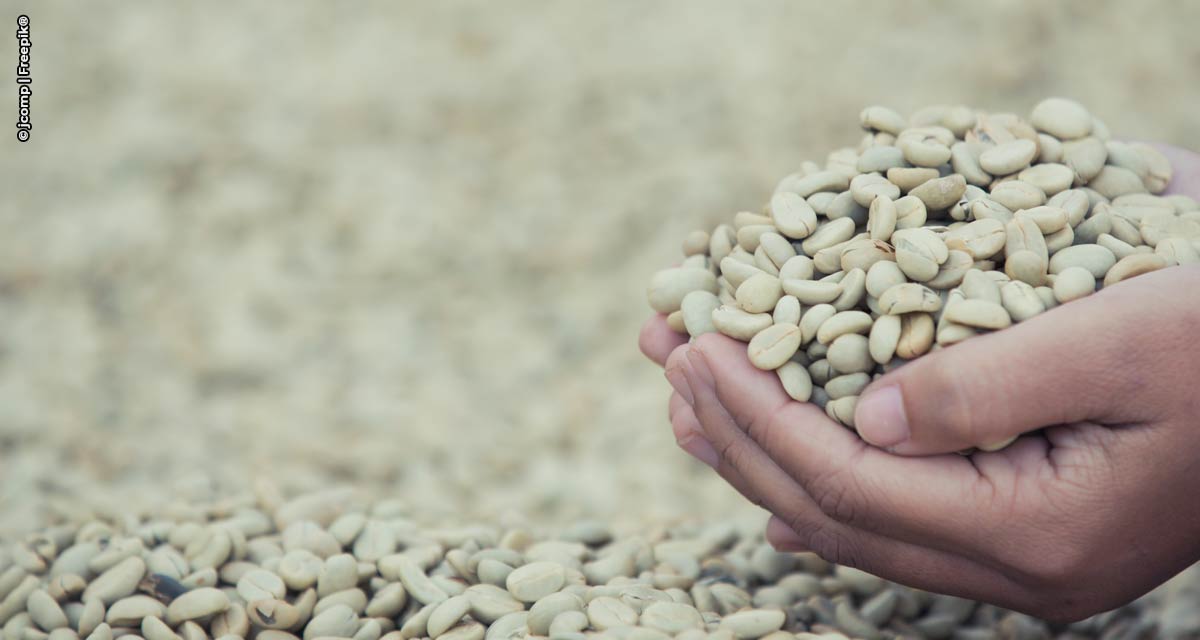 Exportação brasileira de café recua 12,8%, para 2,8 mi de sacas, em julho de 2021