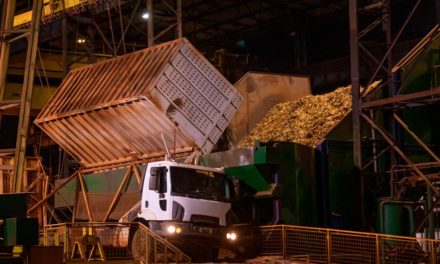 Em ano de poucas chuvas a estiagem preocupa os produtores de cana-de-açúcar