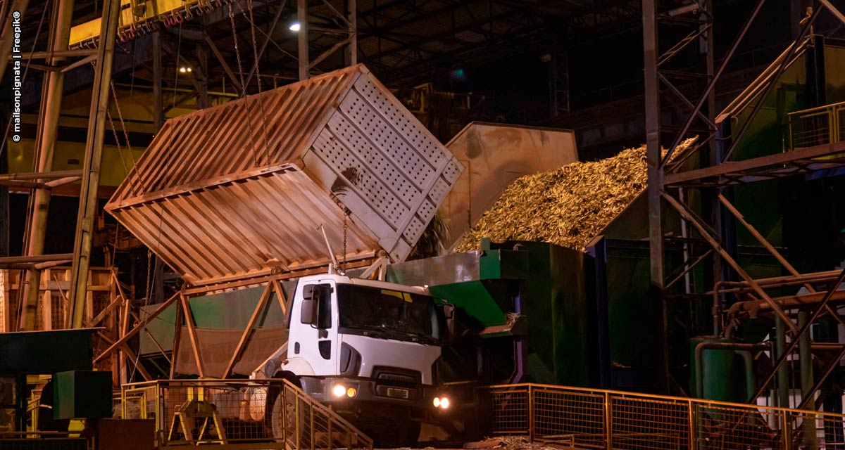 Em ano de poucas chuvas a estiagem preocupa os produtores de cana-de-açúcar