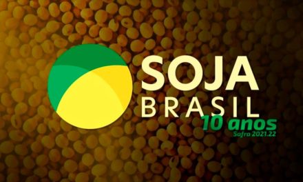 Soja Brasil: projeto com a maior cobertura brasileira do grão chega a 10ª temporada