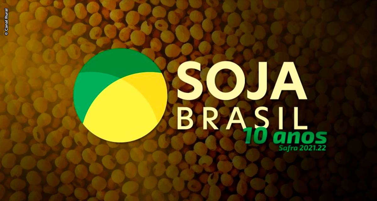 Soja Brasil: projeto com a maior cobertura brasileira do grão chega a 10ª temporada