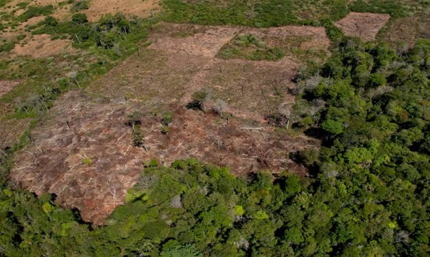 TNC lança guia sobre recuperação de solos degradados no Cerrado