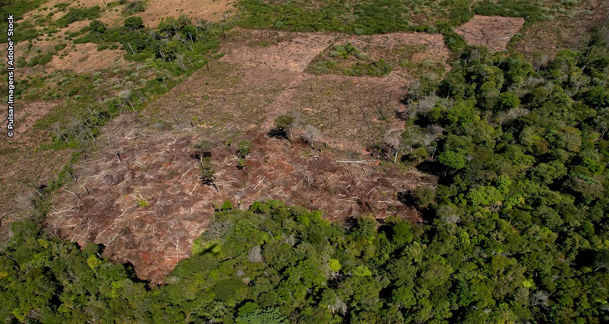 TNC lança guia sobre recuperação de solos degradados no Cerrado