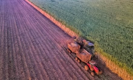 Parceria entre BP Bunge e Coopercitrus viabiliza primeira operação de barter com a fixação de ATR de cana no mundo