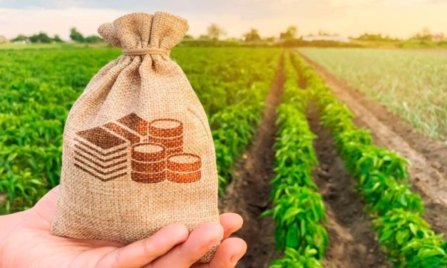 Brazil-Florida Business Council, Inc. promove webinar sobre fundos de investimentos das cadeias agroindustriais