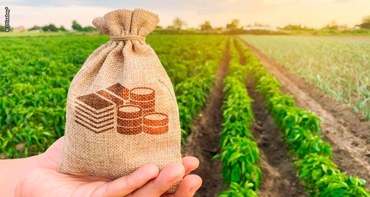 Brazil-Florida Business Council, Inc. promove webinar sobre fundos de investimentos das cadeias agroindustriais