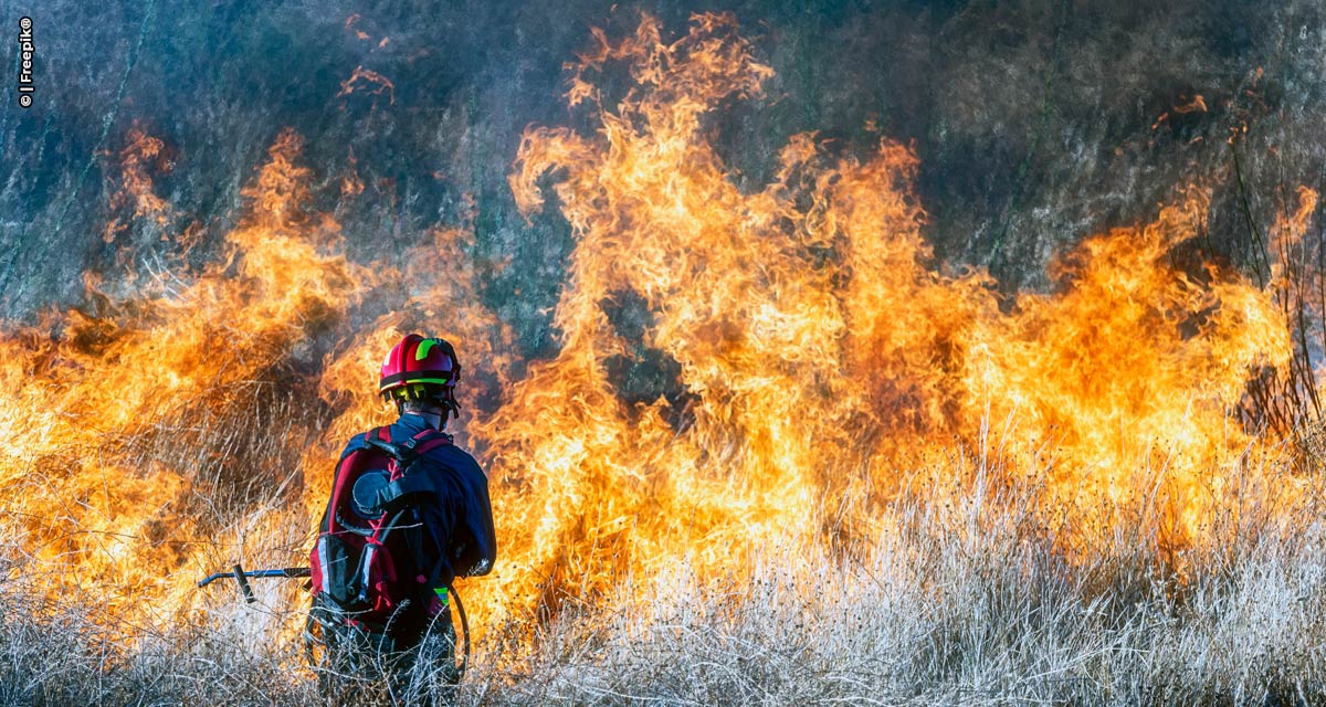 ABNT lança Guia de requisitos e procedimentos básicos para combate a incêndios florestais