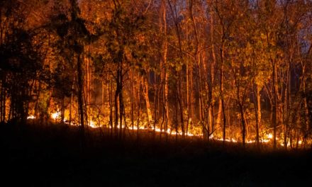 Faesp reforça campanha de conscientização contra incêndios