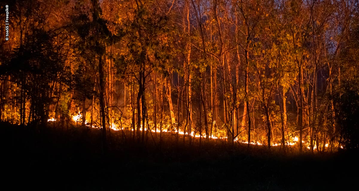 Faesp reforça campanha de conscientização contra incêndios