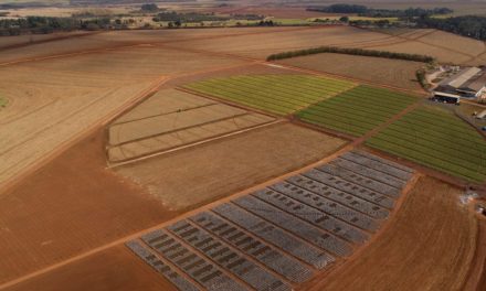 ICL América do Sul anuncia parceria com AgTech Garage,  principal hub de inovação do agro na América Latina