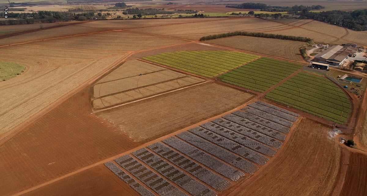 ICL América do Sul anuncia parceria com AgTech Garage,  principal hub de inovação do agro na América Latina