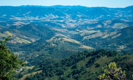 TNC lança Portal da Mantiqueira: plataforma gratuita de dados ambientais para gestão territorial e para fomentar a restauração na Mata Atlântica