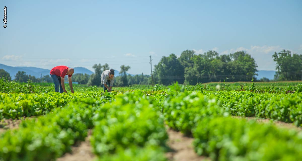 4 medidas para acompanhar o agronegócio do futuro