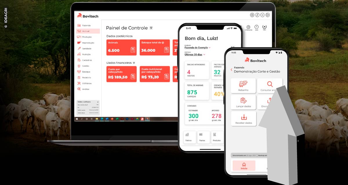 Ideagri lança Bovitech, software dedicado à pecuária de corte