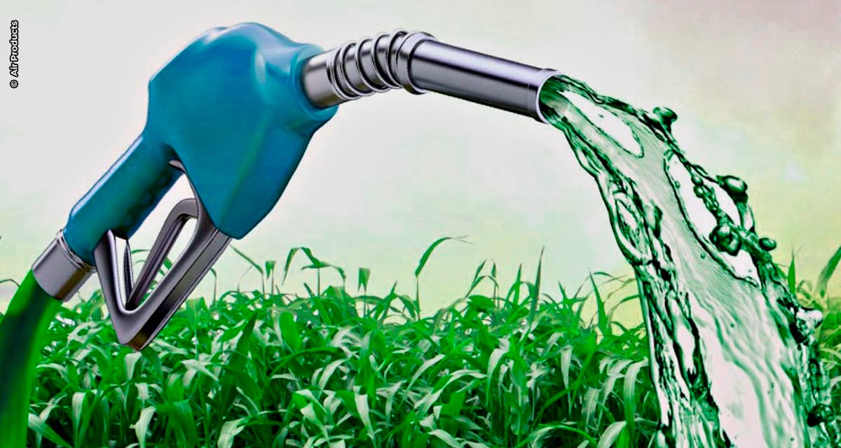 Biocombustível: entenda sua importância para a sustentabilidade