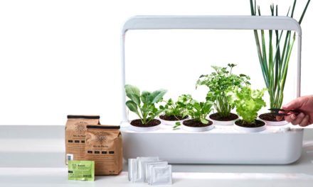 Startup de agricultura urbana lança horta inteligente para quem deseja cultivar seu próprio alimento em casa