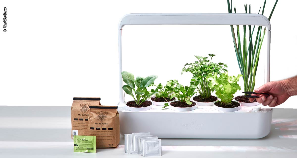 Startup de agricultura urbana lança horta inteligente para quem deseja cultivar seu próprio alimento em casa