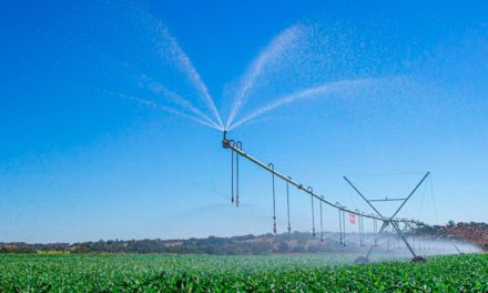 Com uma das maiores áreas irrigadas do País, Paracatu se destaca na produção agrícola