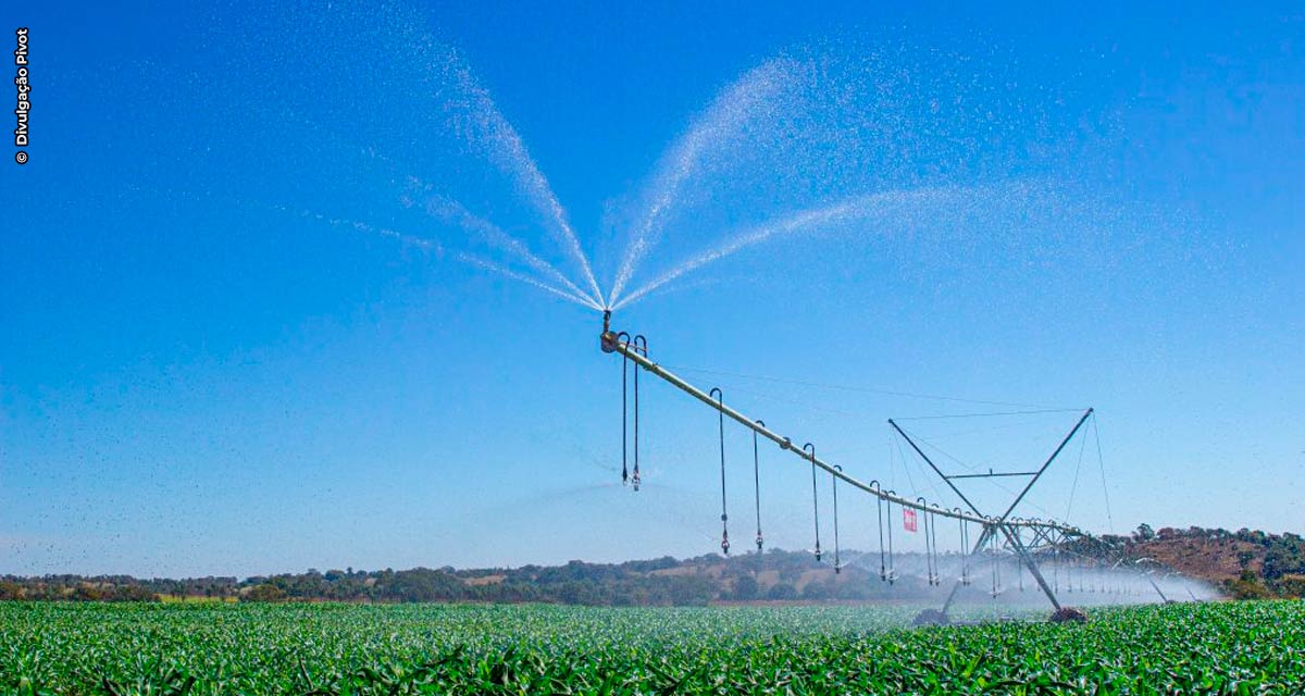 Com uma das maiores áreas irrigadas do País, Paracatu se destaca na produção agrícola