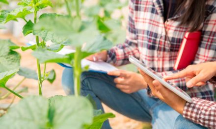 Engenheiro Agrônomo destaca-se no agronegócio brasileiro