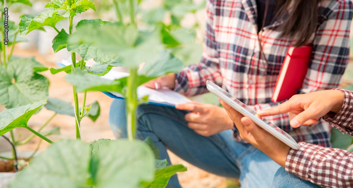 Engenheiro Agrônomo destaca-se no agronegócio brasileiro