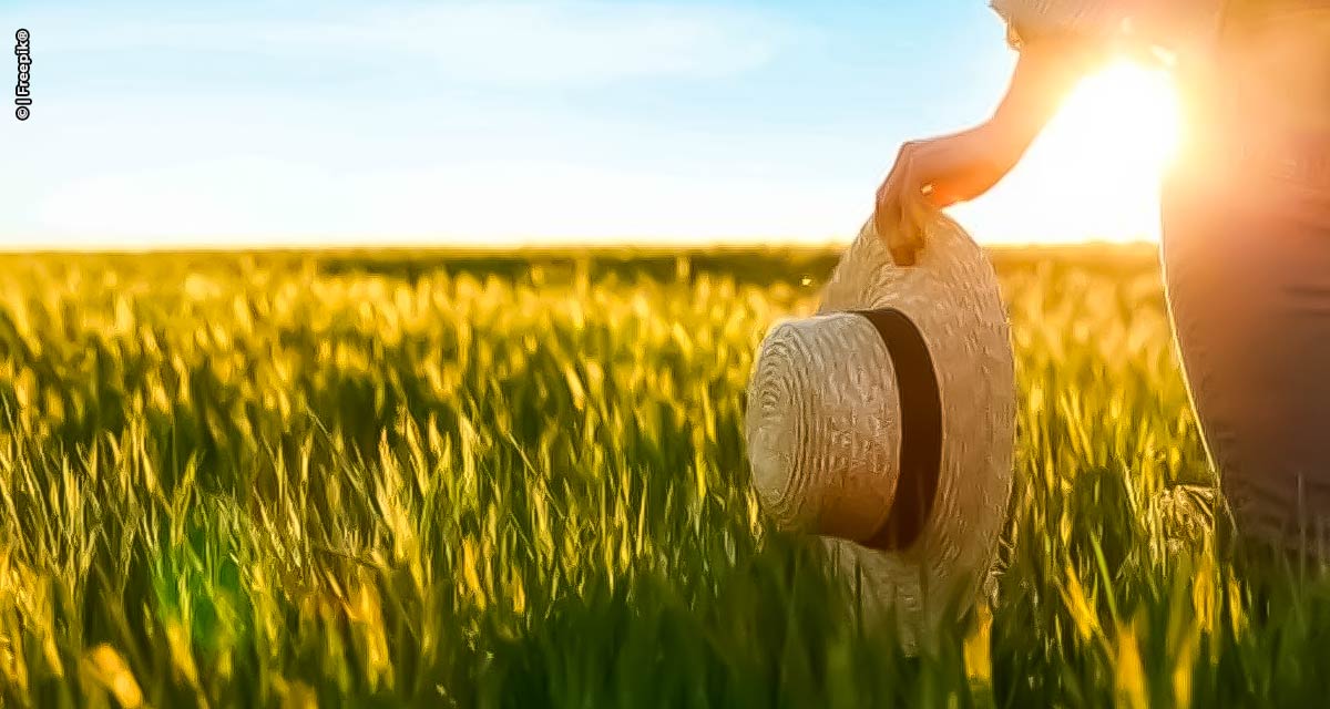 A força das mulheres no agronegócio brasileiro