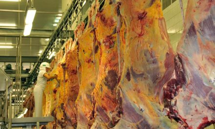 FAESP pede ao governo mais esforço diplomático para retomar venda de carne à China