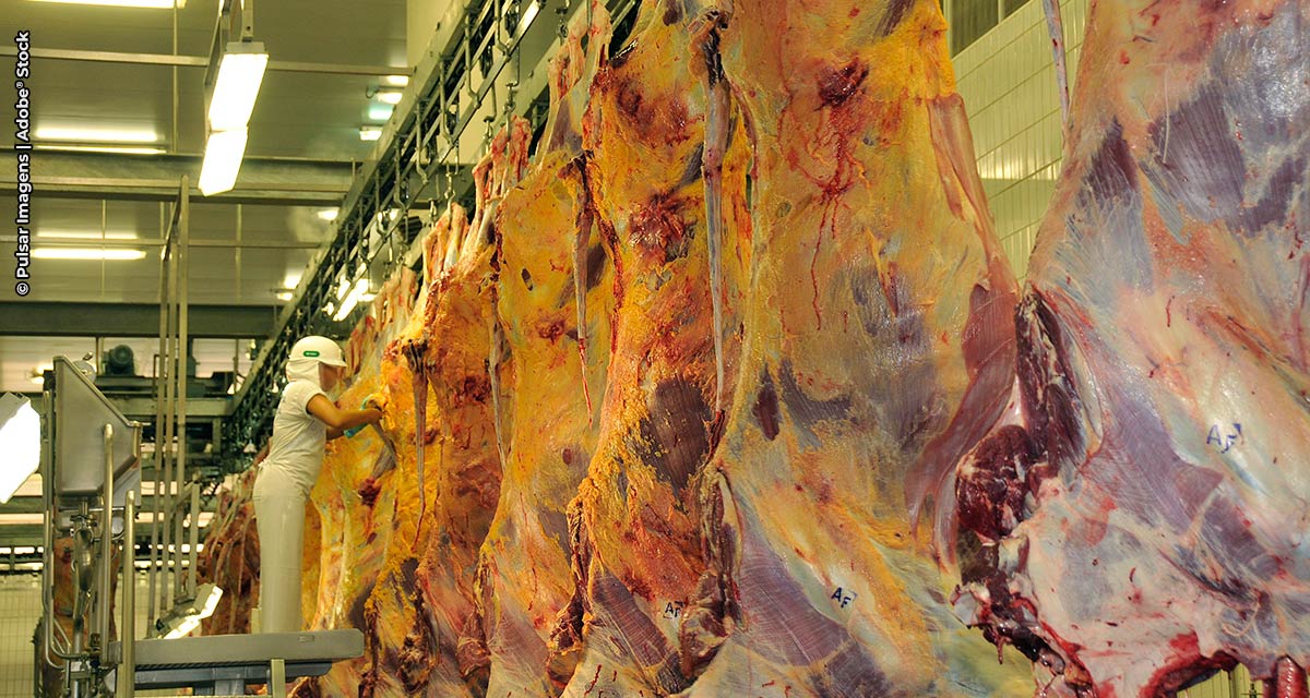 FAESP pede ao governo mais esforço diplomático para retomar venda de carne à China